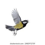 在众博棋牌中体验经典与创新的完美结合 9l21r0u20