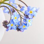 博猫娱乐:揭秘热门游戏背后的策略与技巧分享 h3dz4j