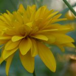 大宝娱乐官网下载指南:一步步教你快速安装 kn17pxm