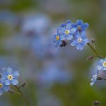 吉祥体育坊官方网站:为您提供全面的体育赛事直播服务 vnsrpo